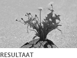 Resultaat